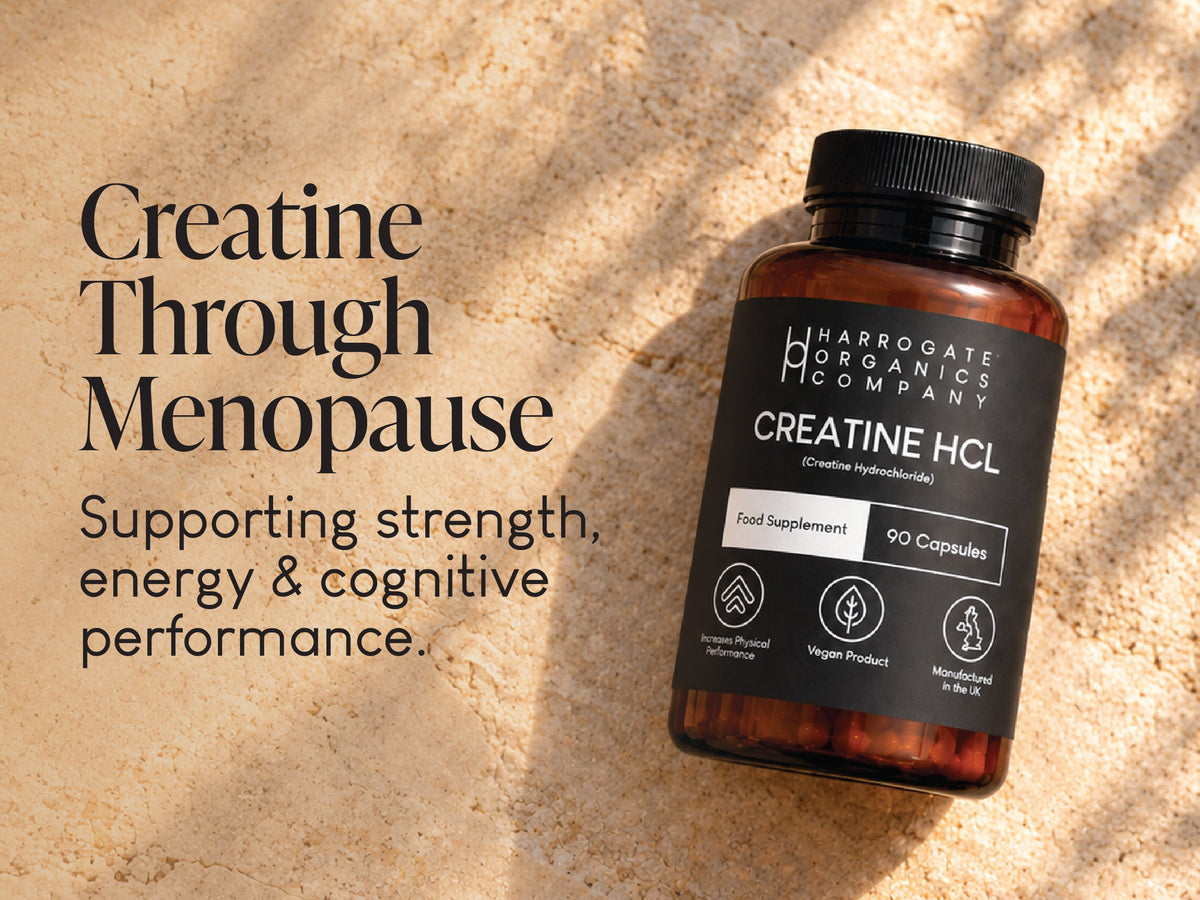 Creatine for Menopause