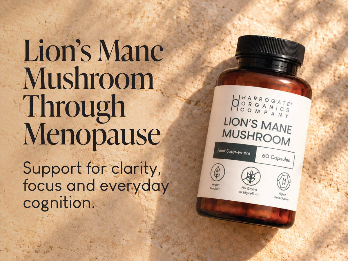 Lion’s Mane Mushroom for Menopause