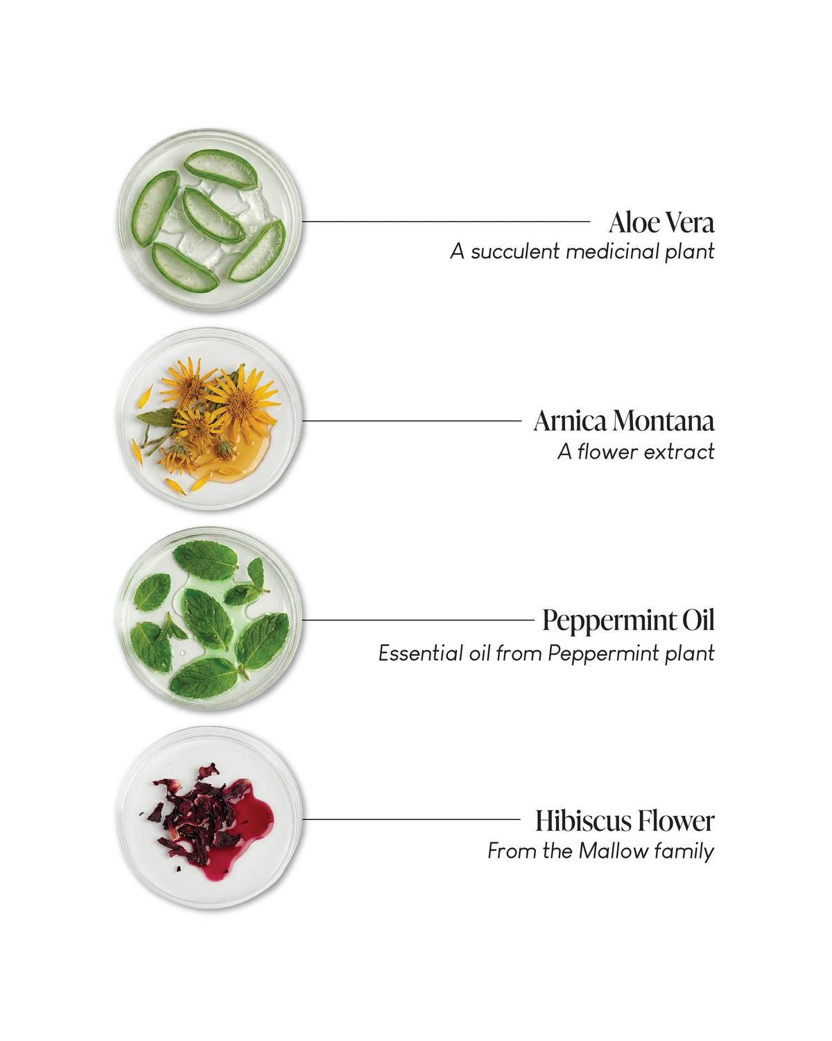 Natural Ingredients That Nurture Your Body