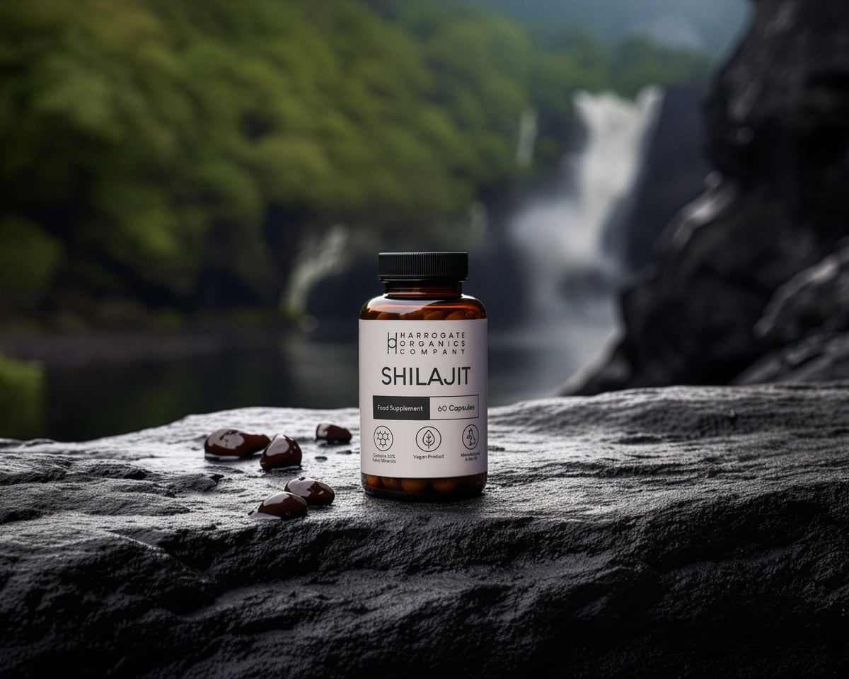 Ancient Power from the Peaks: Introducing Shilajit