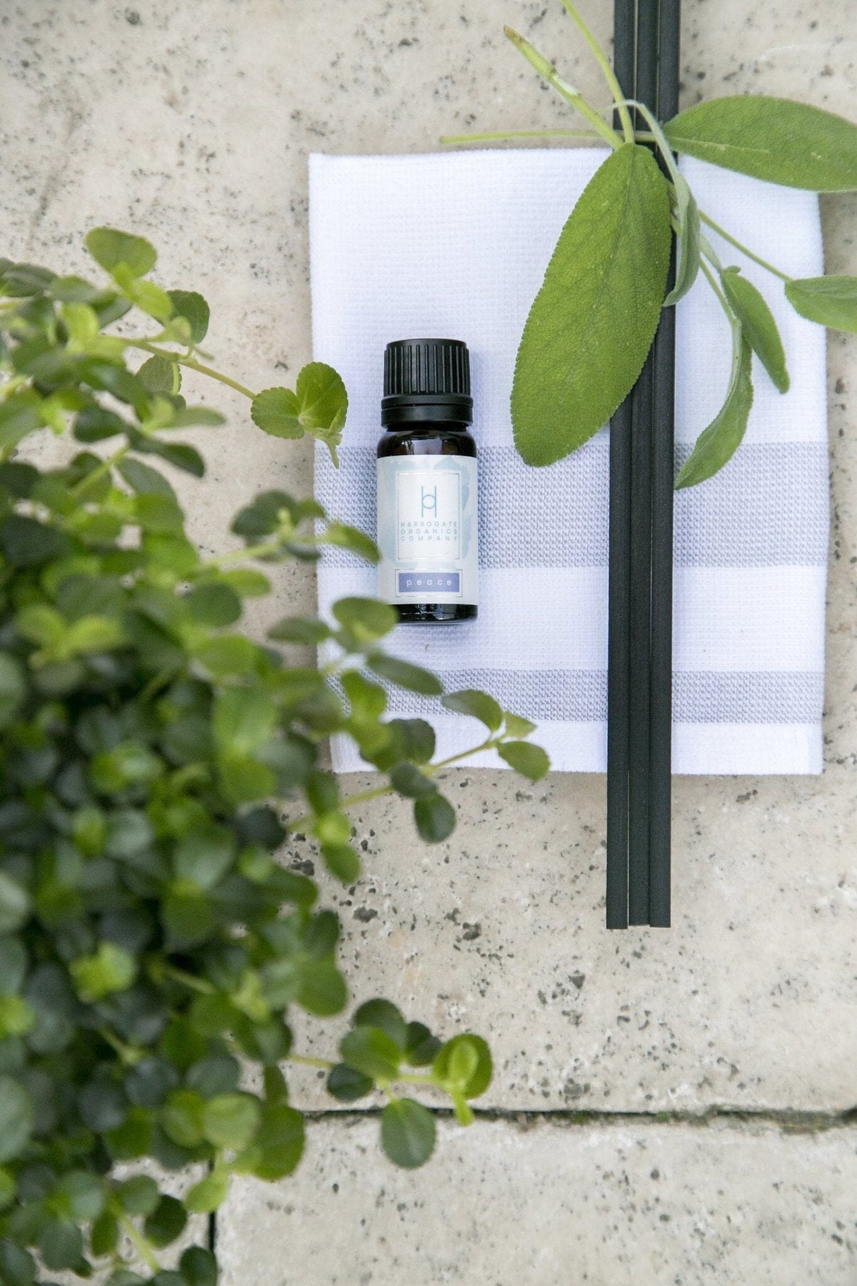 Aromatherapy | Harrogate Organics Company