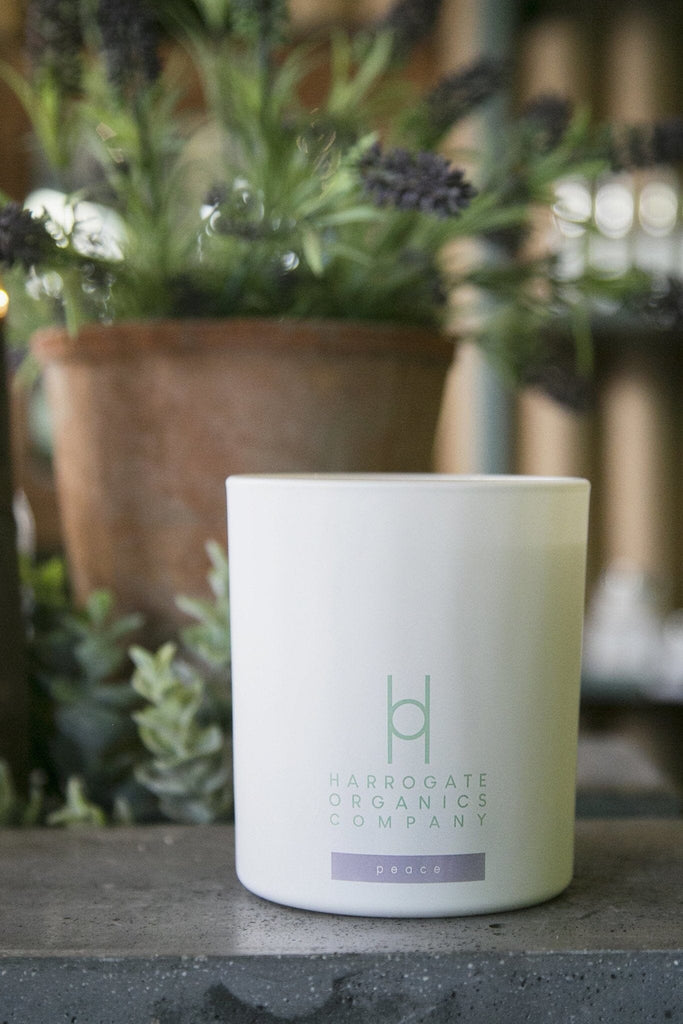 Big Candle Collection | Harrogate Organics Company