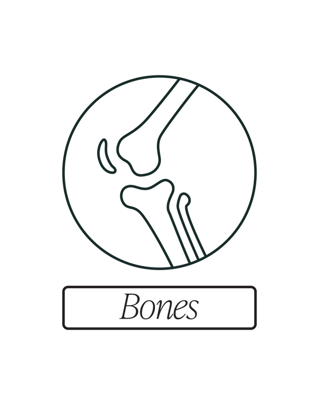 A simple line drawing of a knee joint inside a circle, with the word Bones written below in cursive script within a rectangular box.