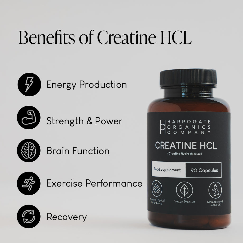 A bottle of Creatine HCL Supplement (30 Day Supply, 90 Capsules, 750mg) is shown next to icons listing benefits: rapid absorption, energy production, muscle growth, strength & power, brain function, exercise performance, and recovery.