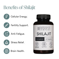 A bottle of Shilajit Supplement 1000mg Per Serving (60 capsules, 30 day supply) beside icons and text: Cellular Energy, Fertility Support, Anti-Fatigue, Stress Relief & Brain Health—an ayurvedic formula rich in fulvic acid.